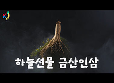 이미지샘플