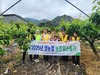 농협금산군지부·금산농협 배 과수농가 일손돕기 실시!!